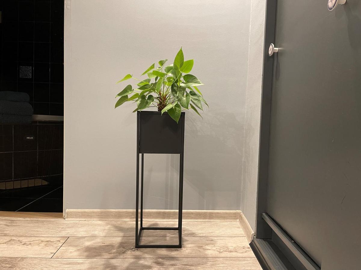 Apartamenty Pod Uwalonym Debem Jezow Sudecki Exterior foto