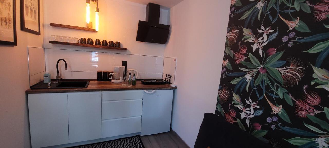 Apartamenty Pod Uwalonym Debem Jezow Sudecki Exterior foto