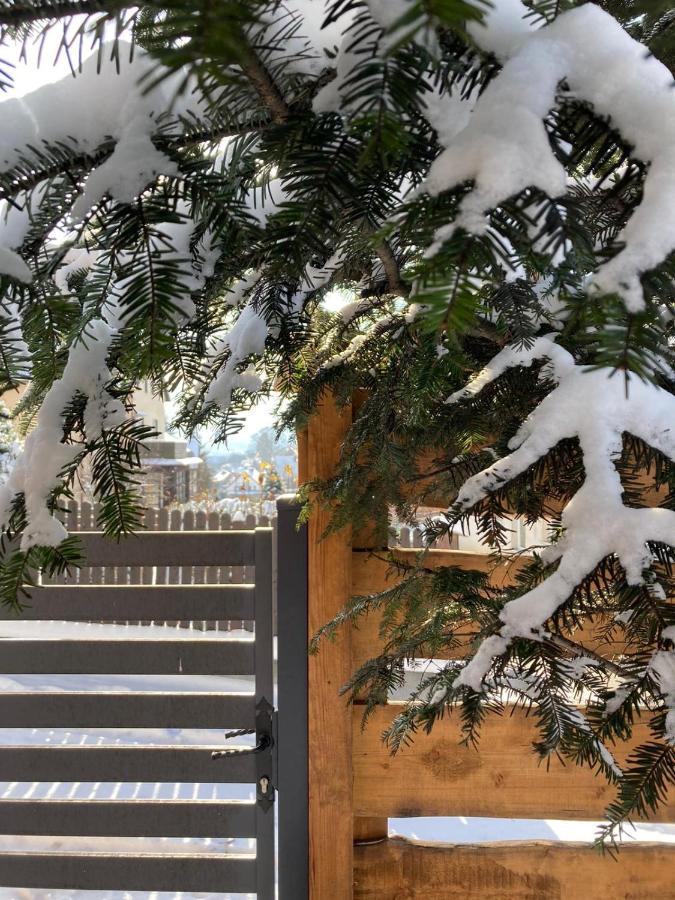Apartamenty Pod Uwalonym Debem Jezow Sudecki Exterior foto